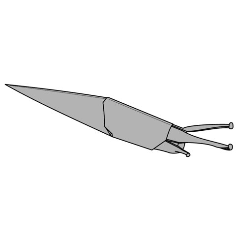Slug