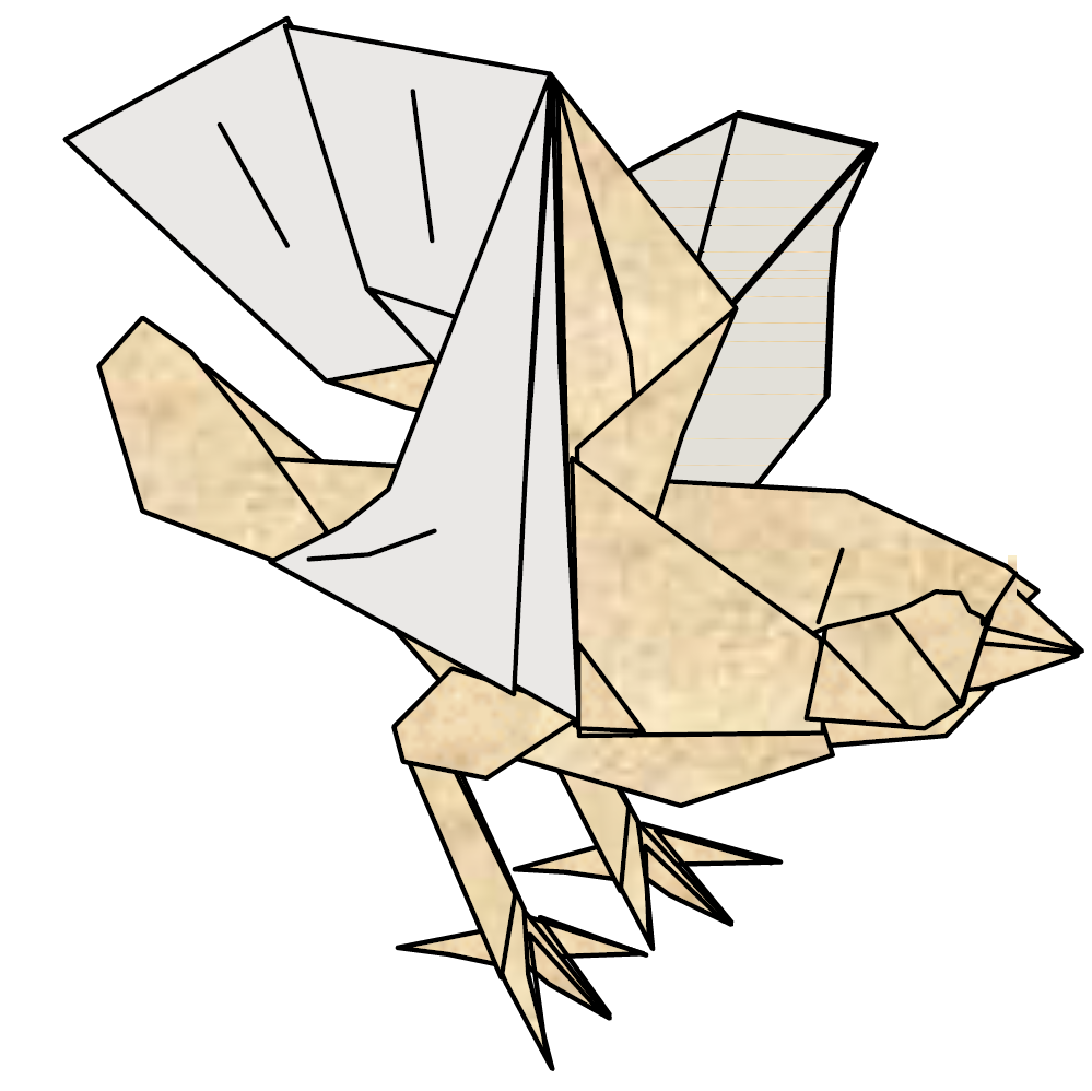 Sparrow