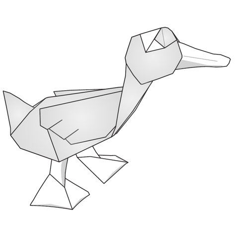 Duck