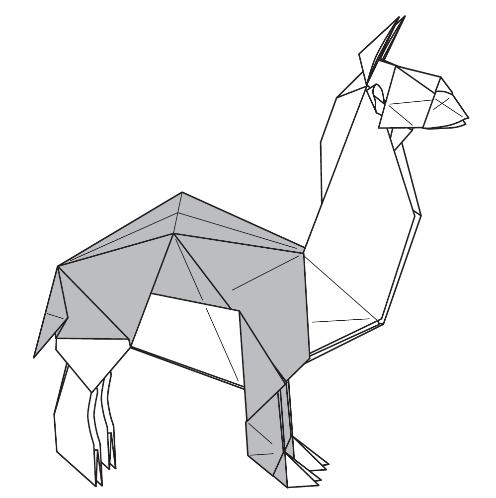 Llama