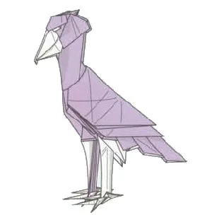Shoebill