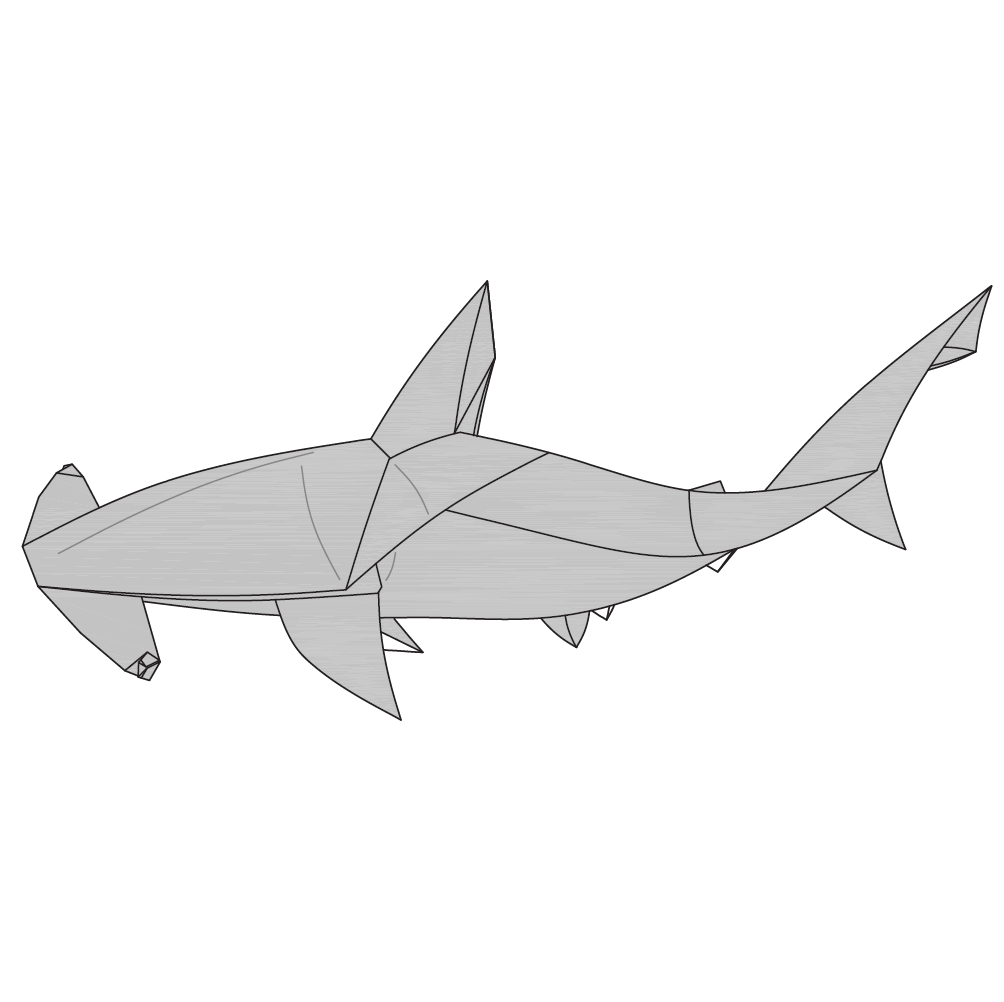Hammerhead shark