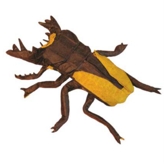 Odontolabis lacordairei