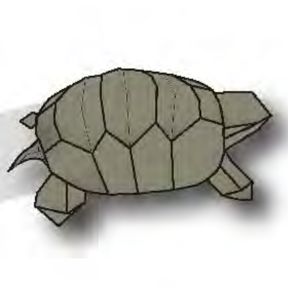 Turtle
