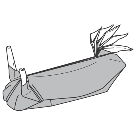 Sea slug