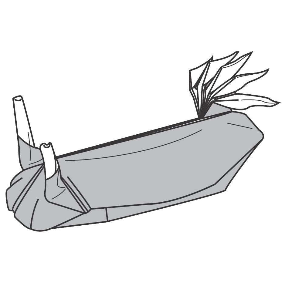 Sea slug
