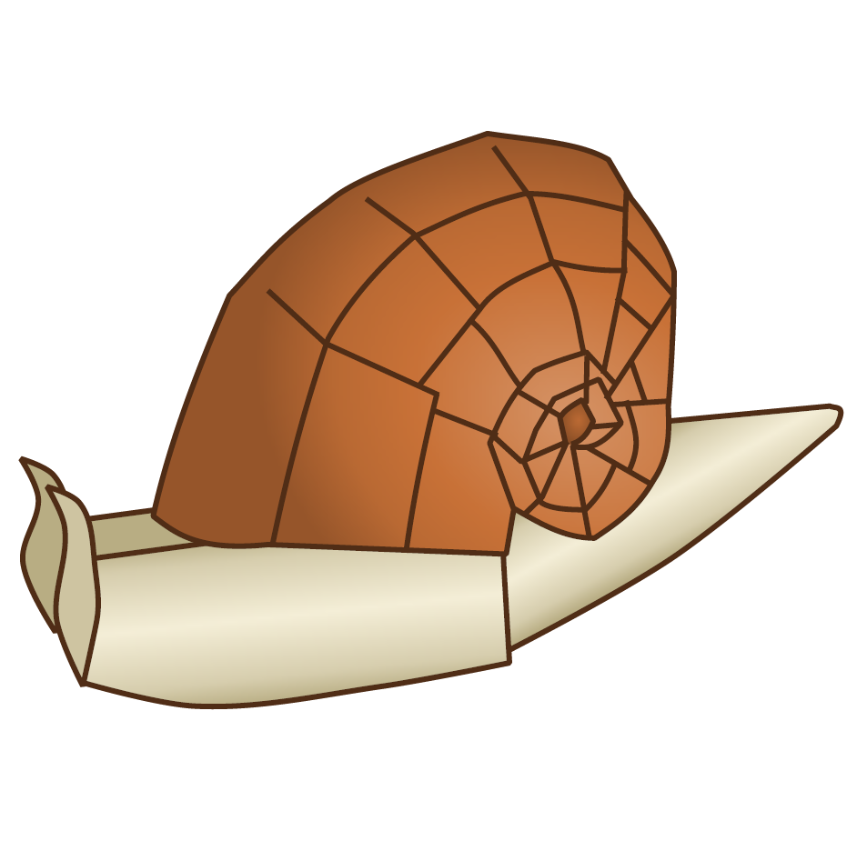 Snail