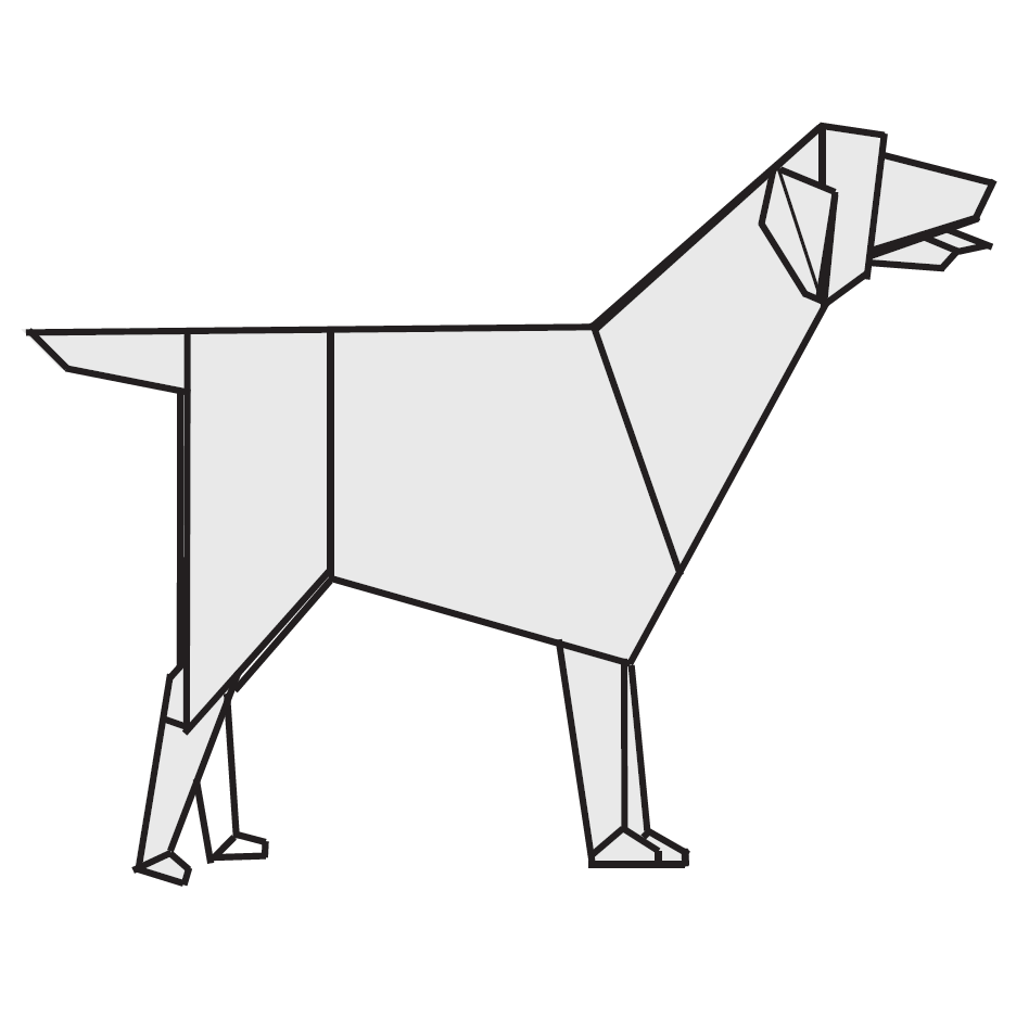 Pudelpointer