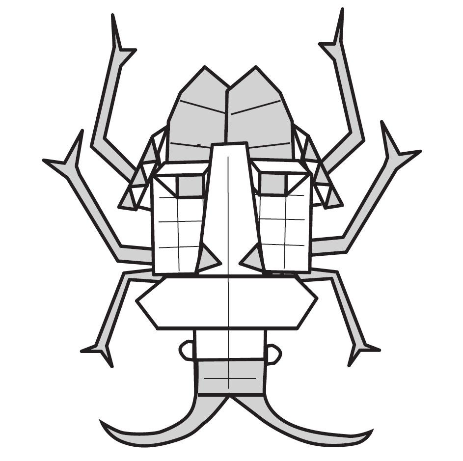 Face beetle