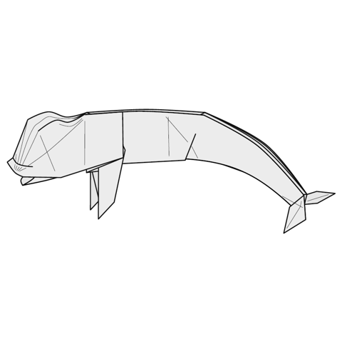 Beluga