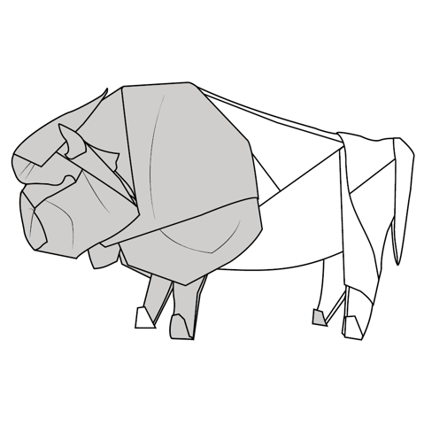 Buffalo bull