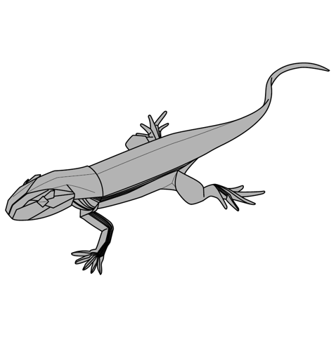 Lizard
