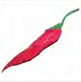 Hot pepper