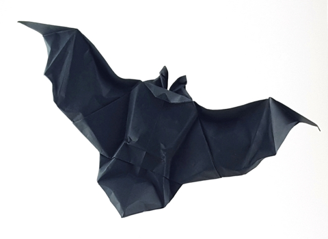 Bat