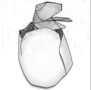 Dinosaur baby in egg