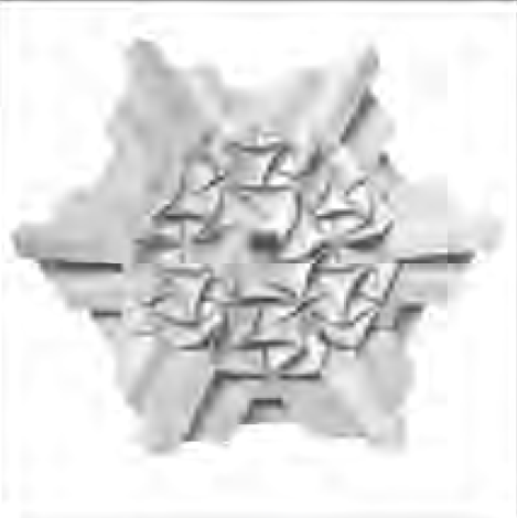 Spial flower tessellation
