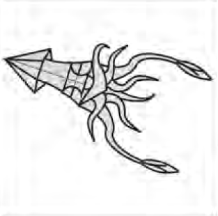 Squid
