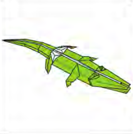 Crocodile