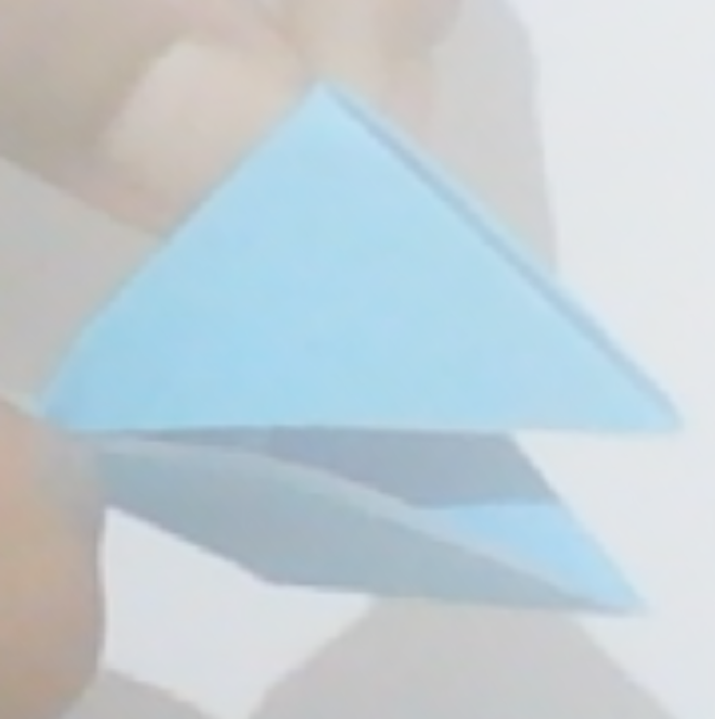Beak