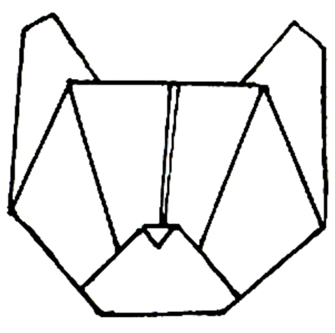 Cat head