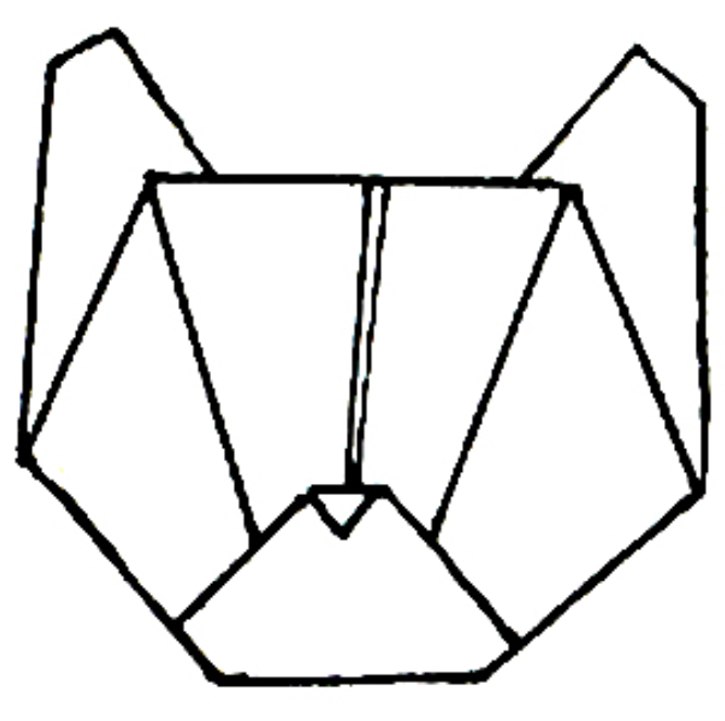 Cat head