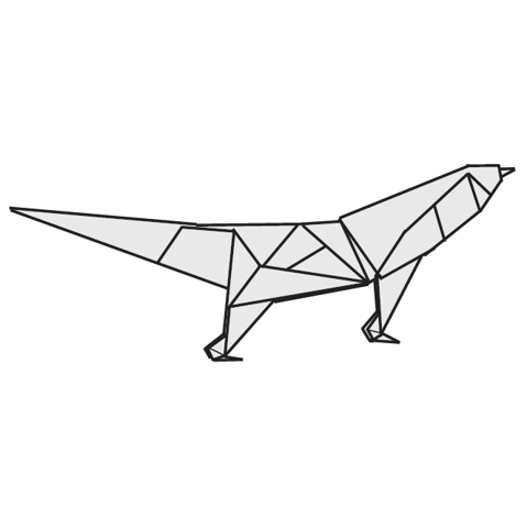Komodo dragon
