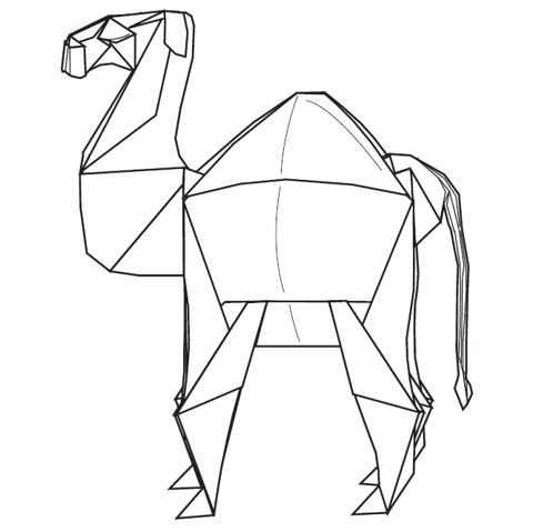 Camel