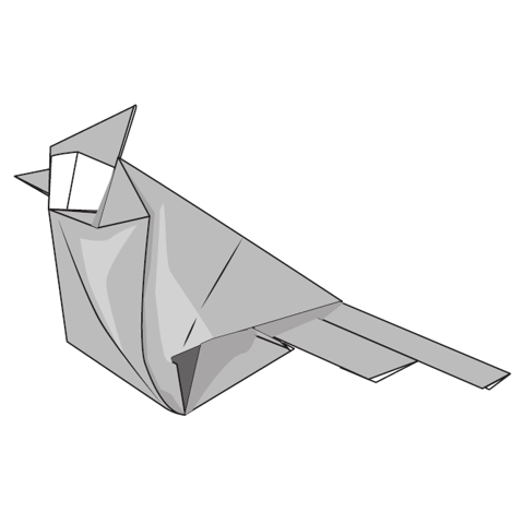 Cardinal