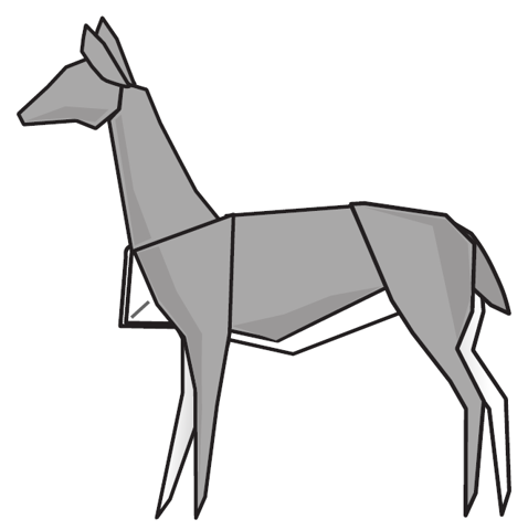 Vicuña