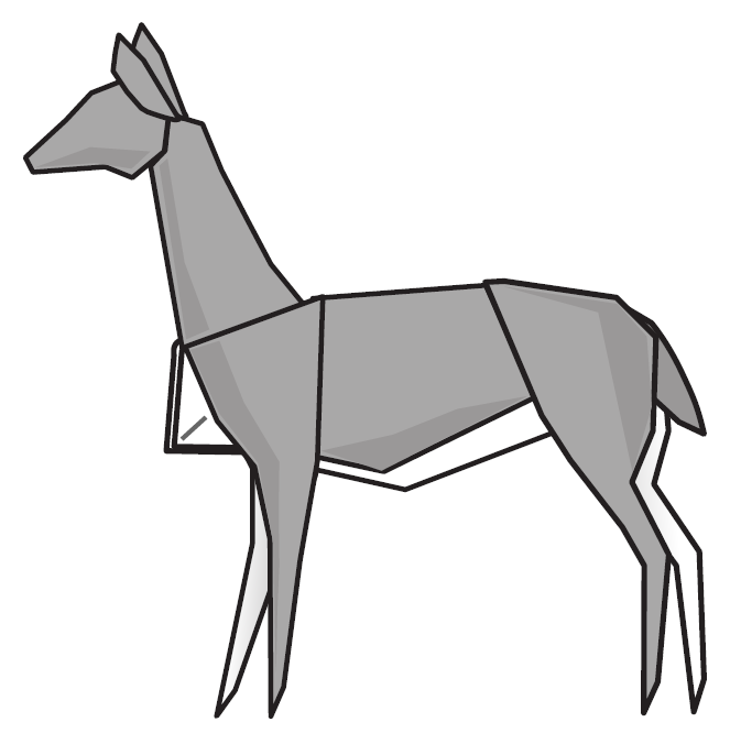 Vicuña