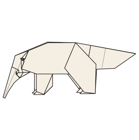 Anteater