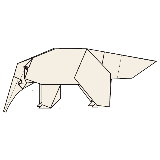 Anteater