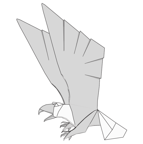 Bald eagle