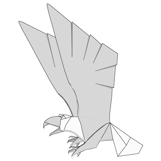 Bald eagle