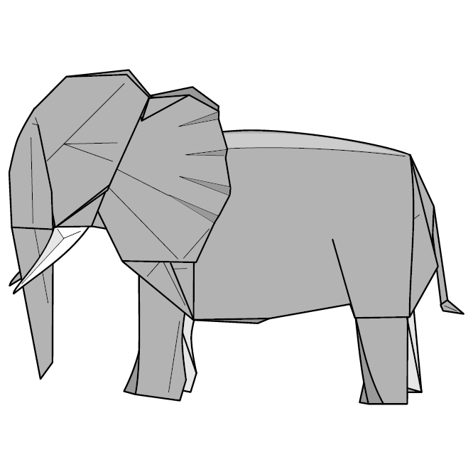 African elephant