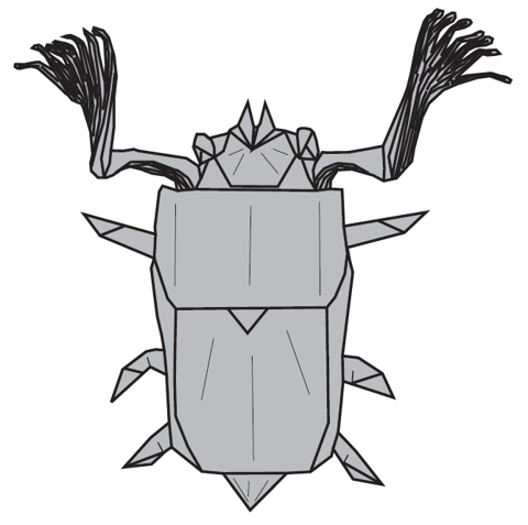 Melolontha 1.1