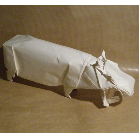 Hippopotamus