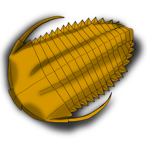Trilobite