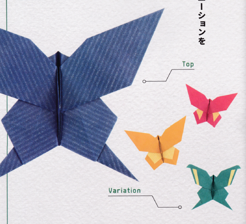 Swallowtail butterfly