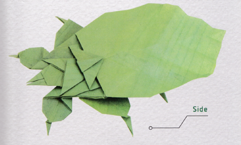 Leaf insect