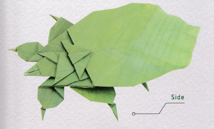 Leaf insect