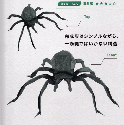 Spider