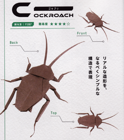 Cockroach