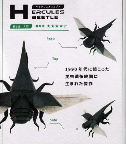 Hercules beetle