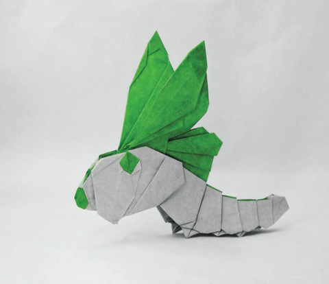 Caterpillar`s Fantasy
