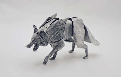 Wolf