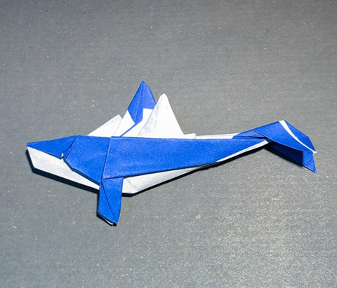 Island whale
