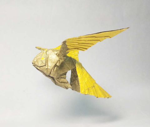 Goldfish with wings