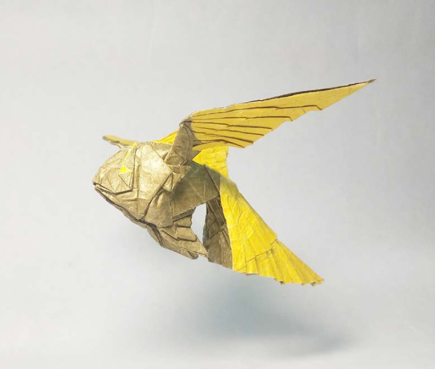 Goldfish with wings