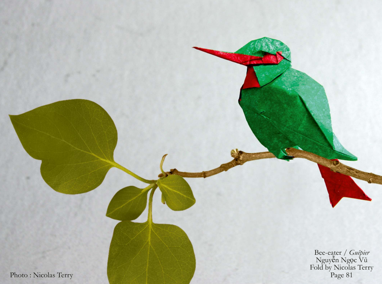 Bee-eater